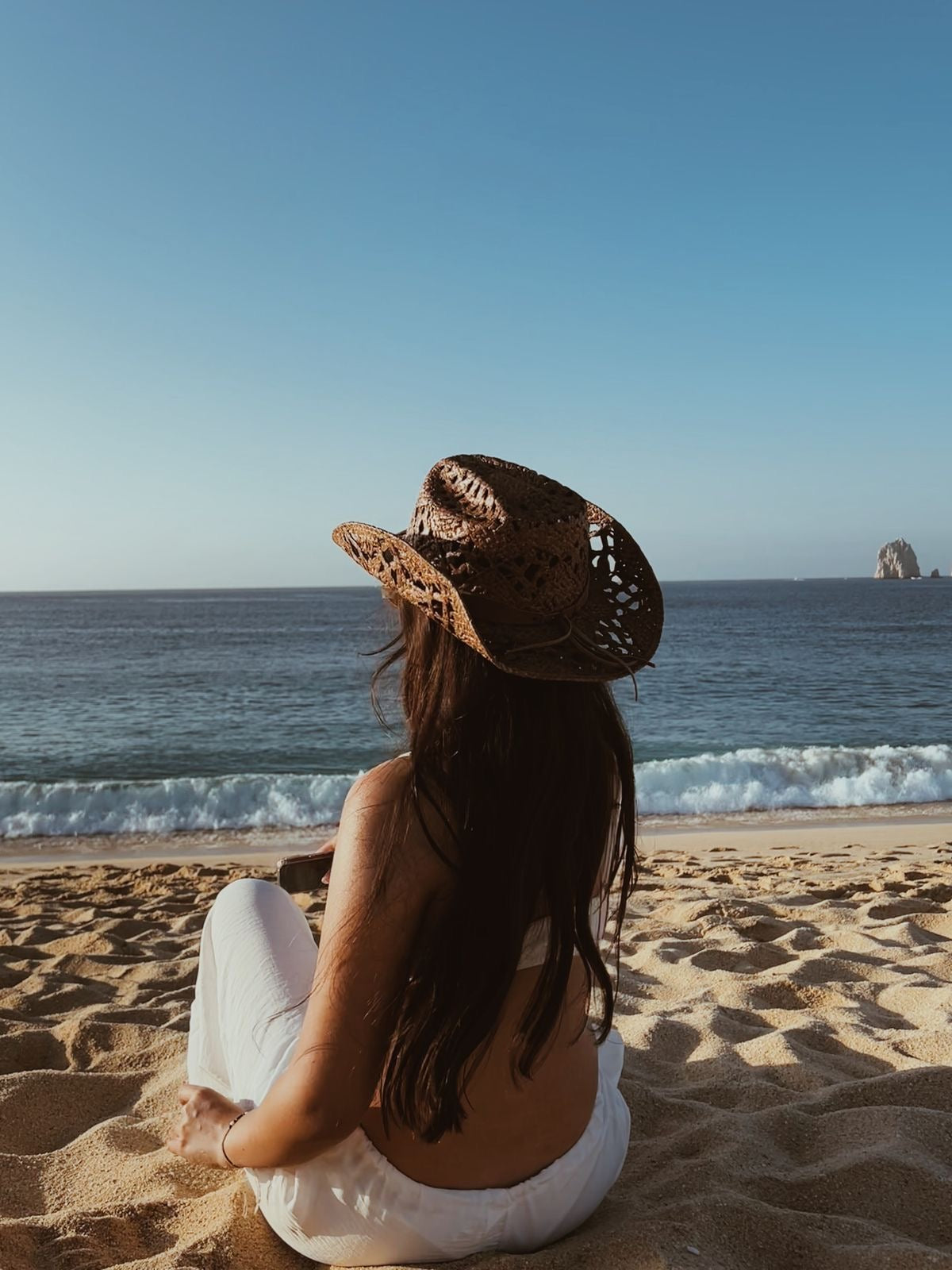 Dark Brown Straw hat