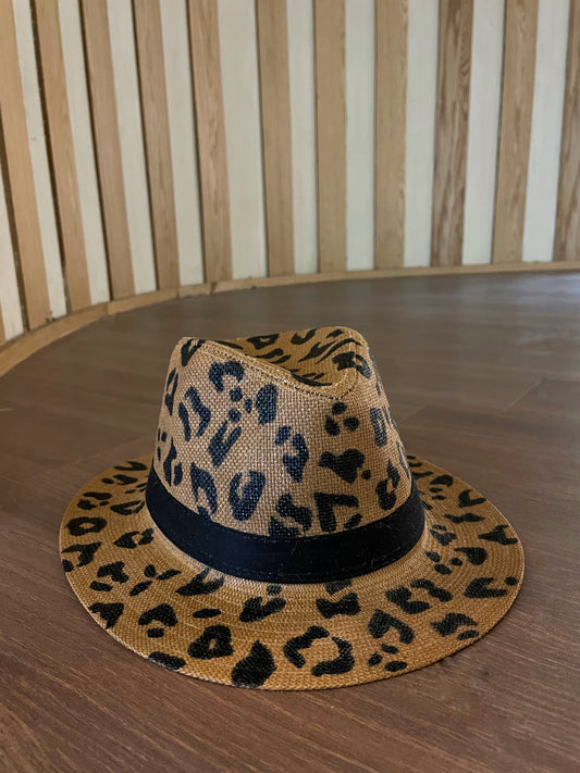 Leopard-New Edition